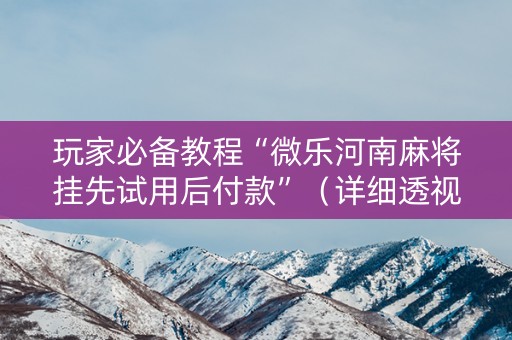 玩家必备教程“微乐河南麻将挂先试用后付款”（详细透视教程）-哔哩哔哩