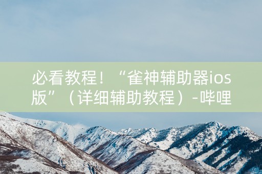 必看教程！“雀神辅助器ios版”（详细辅助教程）-哔哩哔哩