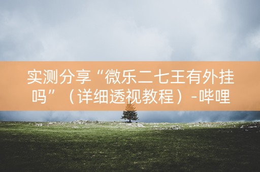 实测分享“微乐二七王有外挂吗”（详细透视教程）-哔哩哔哩
