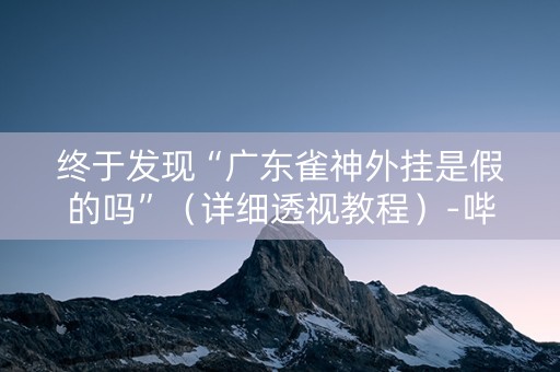 终于发现“广东雀神外挂是假的吗”（详细透视教程）-哔哩哔哩