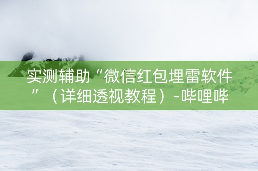 实测辅助“微信红包埋雷软件”（详细透视教程）-哔哩哔哩