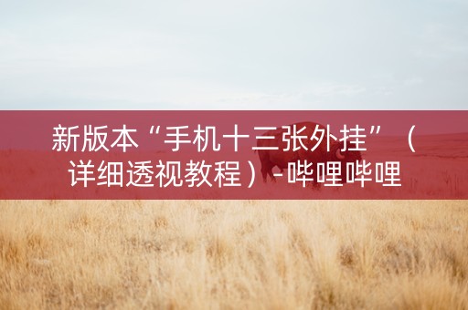 新版本“手机十三张外挂”（详细透视教程）-哔哩哔哩
