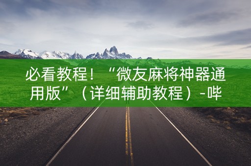必看教程！“微友麻将神器通用版”（详细辅助教程）-哔哩哔哩