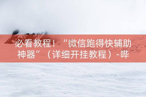 必看教程！“微信跑得快辅助神器”（详细开挂教程）-哔哩哔哩