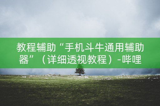 教程辅助“手机斗牛通用辅助器”（详细透视教程）-哔哩哔哩