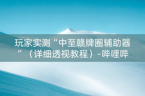 玩家实测“中至赣牌圈辅助器”（详细透视教程）-哔哩哔哩