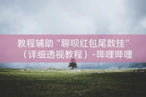 教程辅助“聊呗红包尾数挂”（详细透视教程）-哔哩哔哩