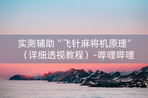 实测辅助“飞针麻将机原理”（详细透视教程）-哔哩哔哩