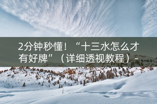 2分钟秒懂！“十三水怎么才有好牌”（详细透视教程）-哔哩哔哩