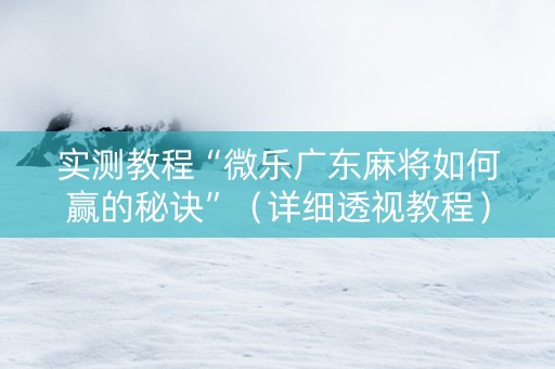 实测教程“微乐广东麻将如何赢的秘诀”（详细透视教程）-哔哩哔哩