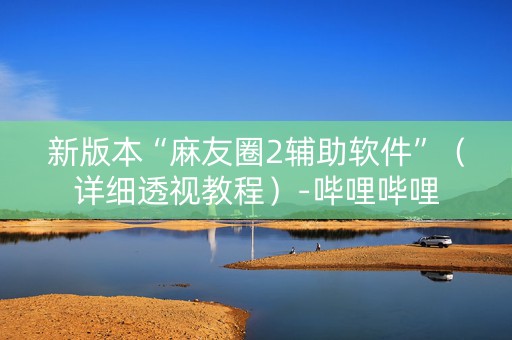 新版本“麻友圈2辅助软件”（详细透视教程）-哔哩哔哩