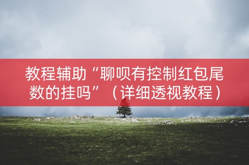 教程辅助“聊呗有控制红包尾数的挂吗”（详细透视教程）-哔哩哔哩