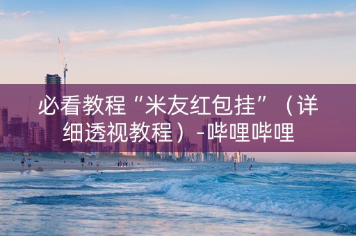 必看教程“米友红包挂”（详细透视教程）-哔哩哔哩