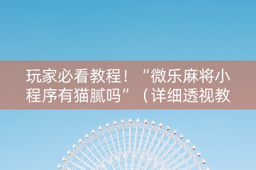 玩家必看教程！“微乐麻将小程序有猫腻吗”（详细透视教程）-哔哩哔哩