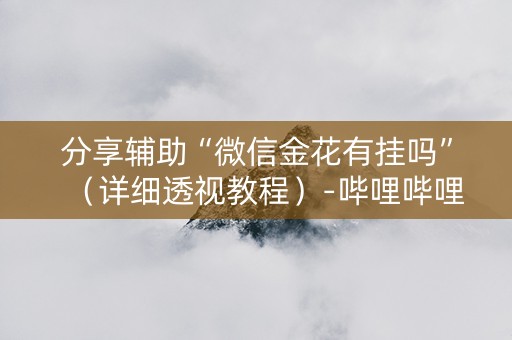 分享辅助“微信金花有挂吗”（详细透视教程）-哔哩哔哩