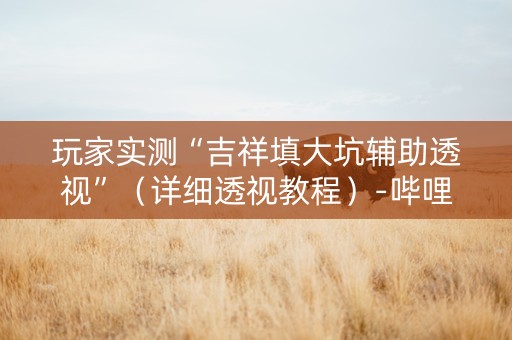玩家实测“吉祥填大坑辅助透视”（详细透视教程）-哔哩哔哩