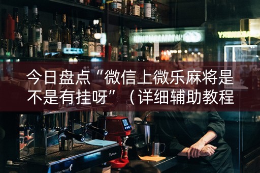 今日盘点“微信上微乐麻将是不是有挂呀”（详细辅助教程）-哔哩哔哩