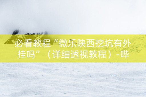 必看教程“微乐陕西挖坑有外挂吗”（详细透视教程）-哔哩哔哩