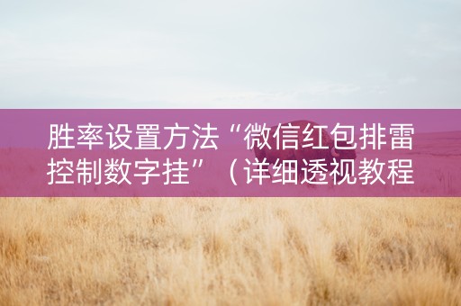 胜率设置方法“微信红包排雷控制数字挂”（详细透视教程）-哔哩哔哩