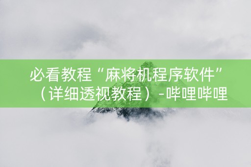 必看教程“麻将机程序软件”（详细透视教程）-哔哩哔哩