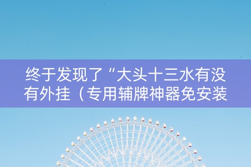 终于发现了“大头十三水有没有外挂（专用辅牌神器免安装）