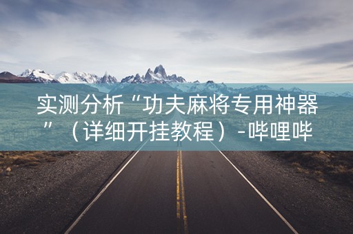 实测分析“功夫麻将专用神器”（详细开挂教程）-哔哩哔哩