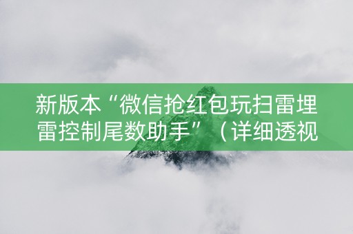 新版本“微信抢红包玩扫雷埋雷控制尾数助手”（详细透视教程）-哔哩哔哩