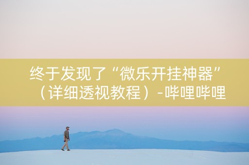 终于发现了“微乐开挂神器”（详细透视教程）-哔哩哔哩