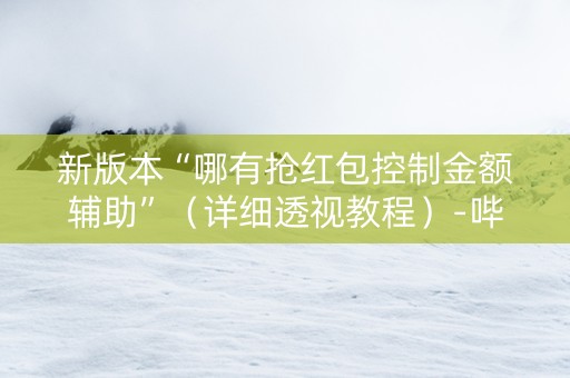 新版本“哪有抢红包控制金额辅助”（详细透视教程）-哔哩哔哩