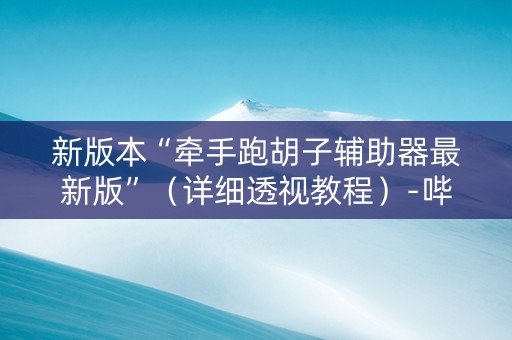 新版本“牵手跑胡子辅助器最新版”（详细透视教程）-哔哩哔哩