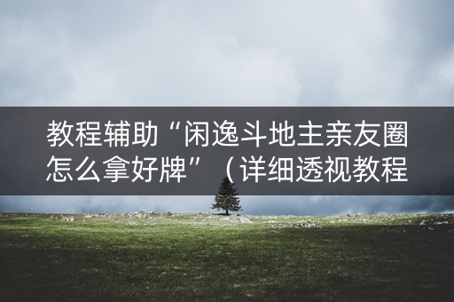 教程辅助“闲逸斗地主亲友圈怎么拿好牌”（详细透视教程）-哔哩哔哩