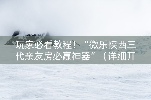 玩家必看教程！“微乐陕西三代亲友房必赢神器”（详细开挂教程）-哔哩哔哩