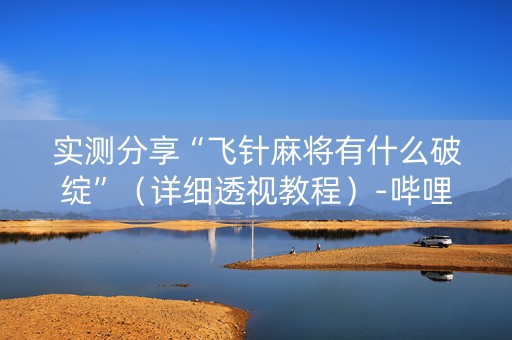 实测分享“飞针麻将有什么破绽”（详细透视教程）-哔哩哔哩