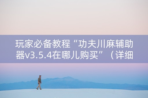 玩家必备教程“功夫川麻辅助器v3.5.4在哪儿购买”（详细透视教程）-哔哩哔哩