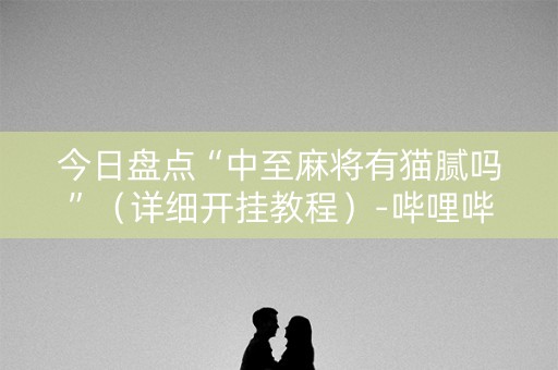 今日盘点“中至麻将有猫腻吗”（详细开挂教程）-哔哩哔哩
