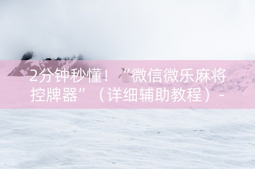 2分钟秒懂！“微信微乐麻将控牌器”（详细辅助教程）-哔哩哔哩
