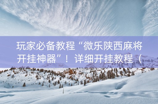 玩家必备教程“微乐陕西麻将开挂神器”！详细开挂教程（确实真的有挂)-知乎