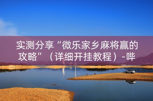 实测分享“微乐家乡麻将赢的攻略”（详细开挂教程）-哔哩哔哩