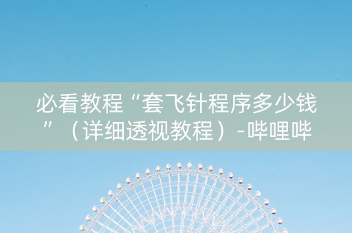 必看教程“套飞针程序多少钱”（详细透视教程）-哔哩哔哩