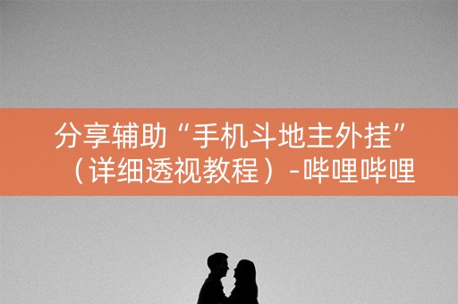 分享辅助“手机斗地主外挂”（详细透视教程）-哔哩哔哩