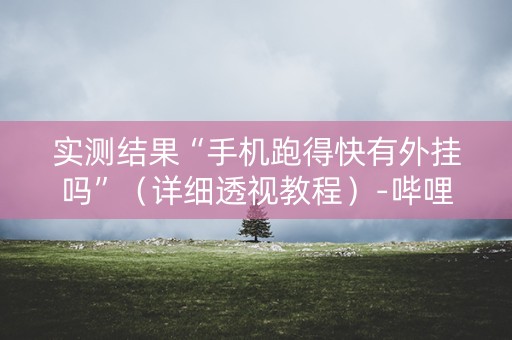 实测结果“手机跑得快有外挂吗”（详细透视教程）-哔哩哔哩