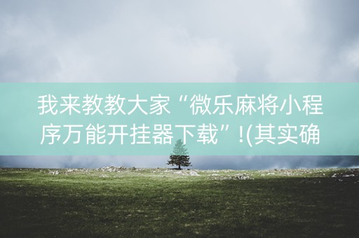 我来教教大家“微乐麻将小程序万能开挂器下载”!(其实确实有挂)-知乎