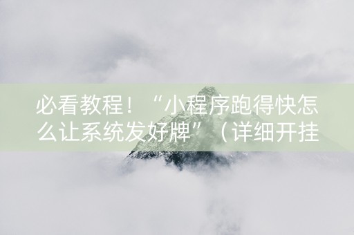 必看教程！“小程序跑得快怎么让系统发好牌”（详细开挂教程）-哔哩哔哩