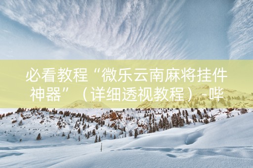必看教程“微乐云南麻将挂件神器”（详细透视教程）-哔哩哔哩
