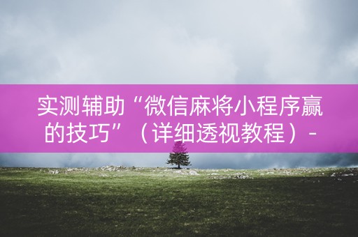 实测辅助“微信麻将小程序赢的技巧”（详细透视教程）-哔哩哔哩
