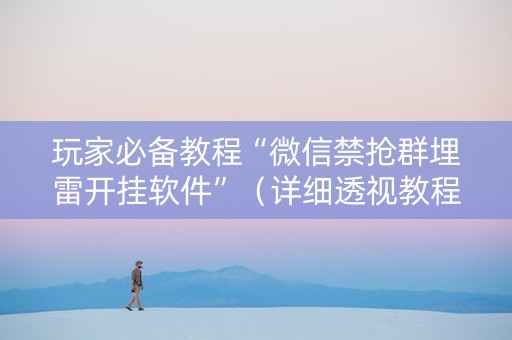玩家必备教程“微信禁抢群埋雷开挂软件”（详细透视教程）-哔哩哔哩