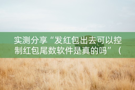 实测分享“发红包出去可以控制红包尾数软件是真的吗”（详细透视教程）-哔哩哔哩