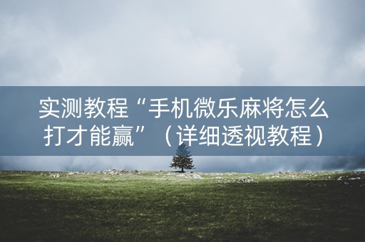 实测教程“手机微乐麻将怎么打才能赢”（详细透视教程）-哔哩哔哩