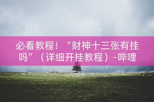 必看教程！“财神十三张有挂吗”（详细开挂教程）-哔哩哔哩