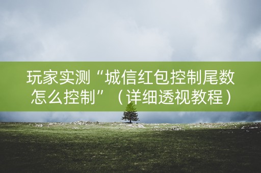 玩家实测“城信红包控制尾数怎么控制”（详细透视教程）-哔哩哔哩